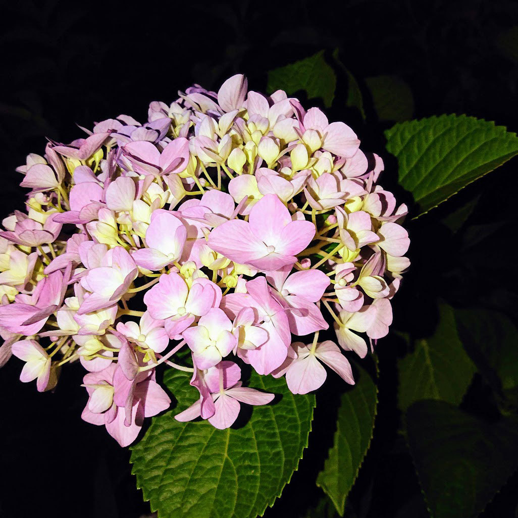 e0412402_22362305.jpg
