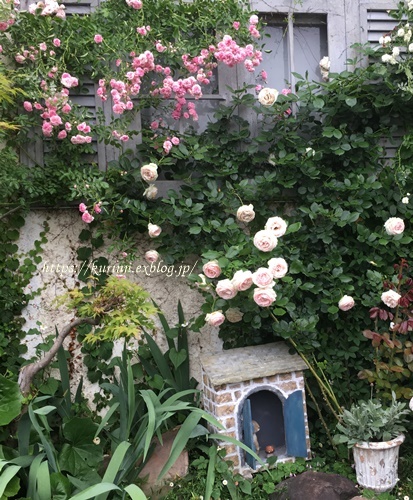 続 素敵な庭めぐり お洒落なモルタルデコ小屋ある庭 Miyorinの秘密のお庭