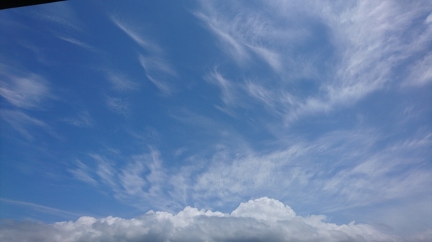 c0368903_13140767.jpg