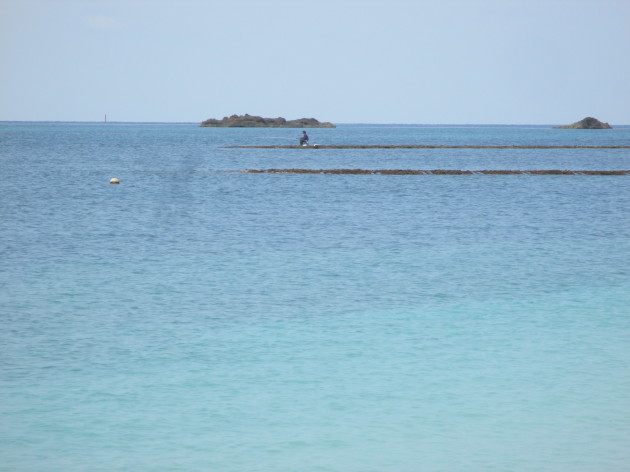 b0183111_06481284.jpg