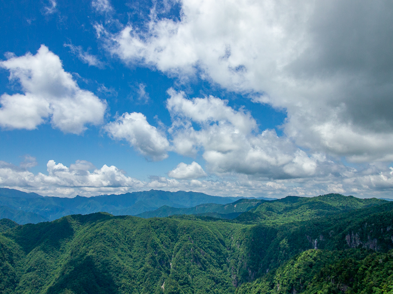 大台ヶ原　初夏_b0244811_04494569.jpg