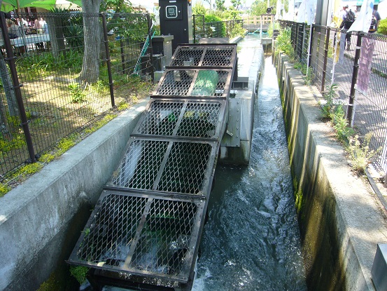 c0192215_822663.jpg