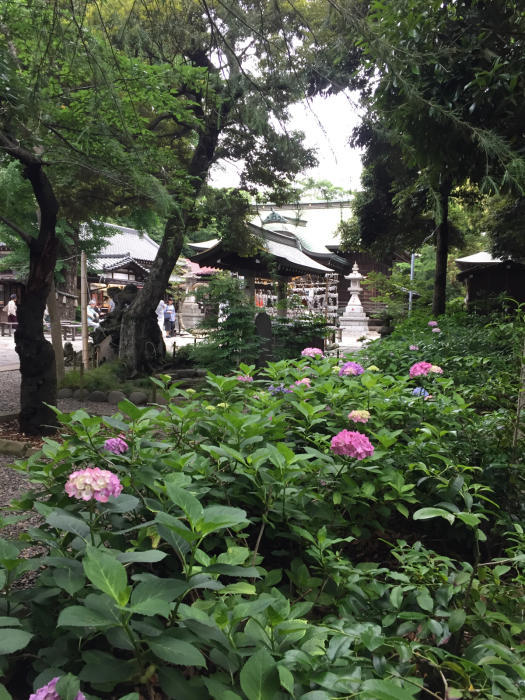 神社巡り『御朱印』⛩菊田神社⛩大原神社_a0251116_17525958.jpg