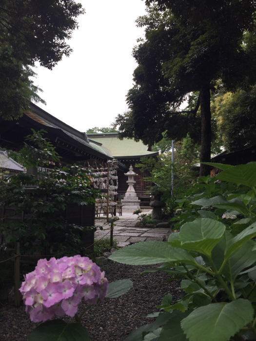 神社巡り『御朱印』⛩菊田神社⛩大原神社_a0251116_17530135.jpg