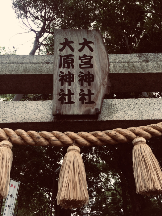 神社巡り『御朱印』⛩菊田神社⛩大原神社_a0251116_17535486.jpg