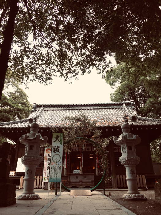 神社巡り『御朱印』⛩菊田神社⛩大原神社_a0251116_17535708.jpg