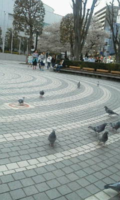 実行力のない部下の扱い方について!_c0074721_16262967.jpg