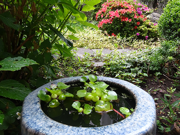 f0097523_17013363.jpg