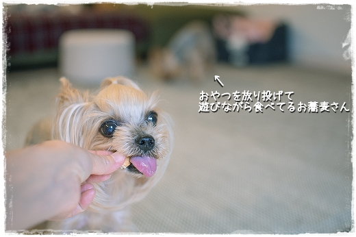 d0179828_13570455.png