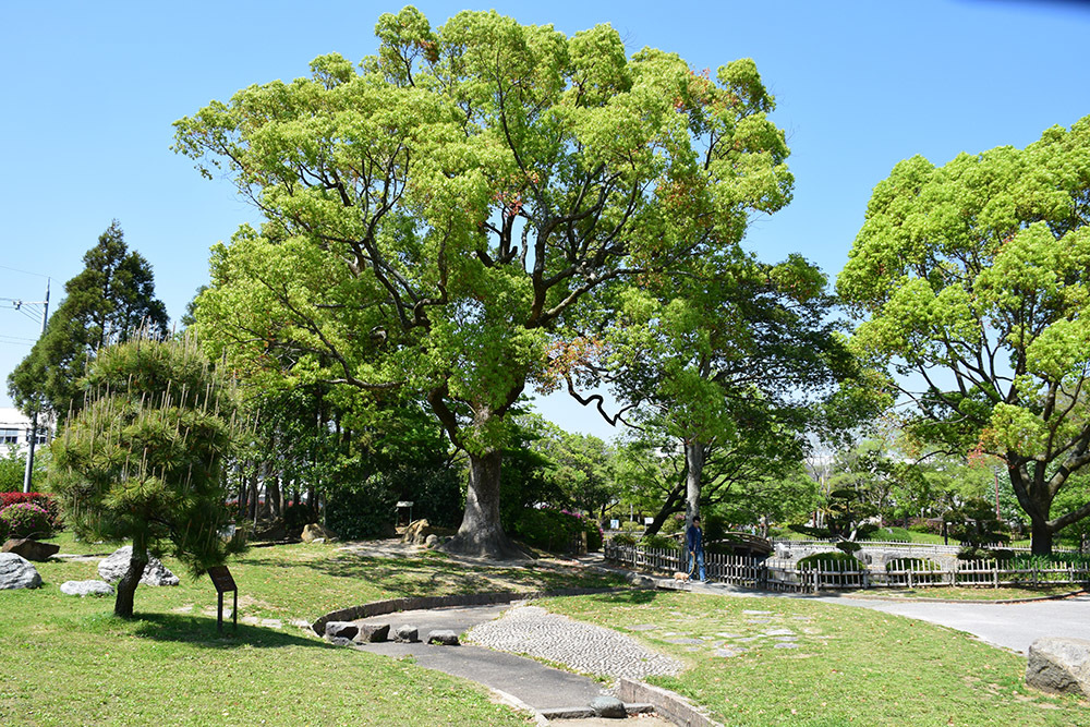 北摂津、高槻城跡逍遥。_e0158128_14275854.jpg