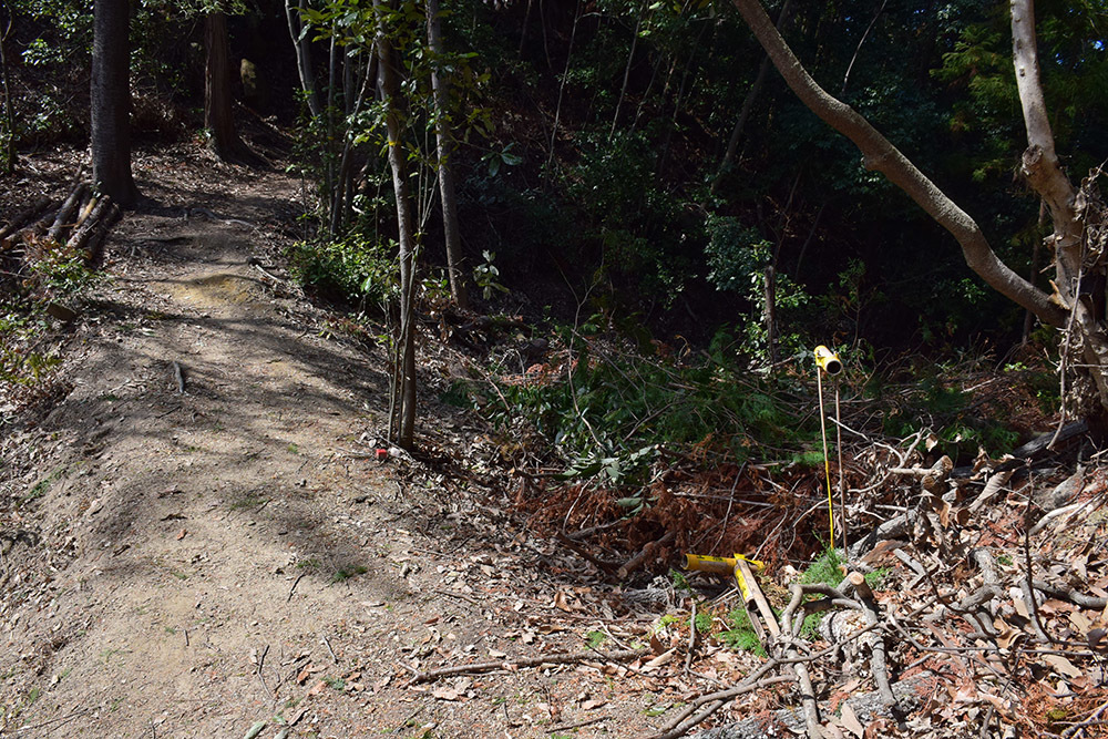三好長慶の本城、芥川山城攻城記。 その1 ~登城道~_e0158128_15393630.jpg