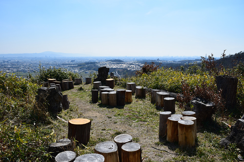 三好長慶の本城、芥川山城攻城記。 その3 ~主郭~_e0158128_16390652.jpg