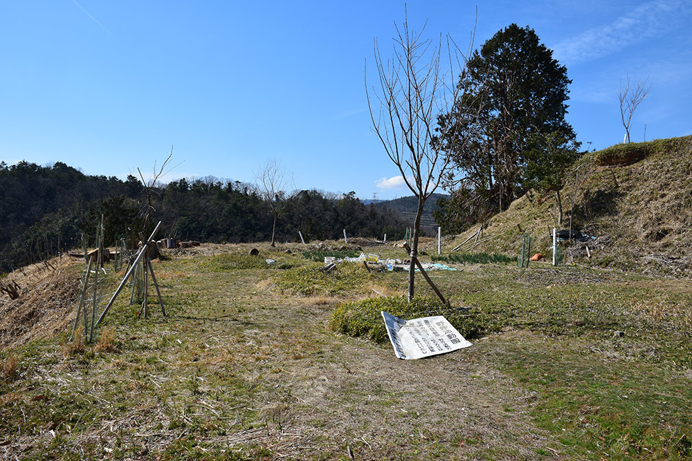 三好長慶の本城、芥川山城攻城記。 その3 ~主郭~_e0158128_16514002.jpg