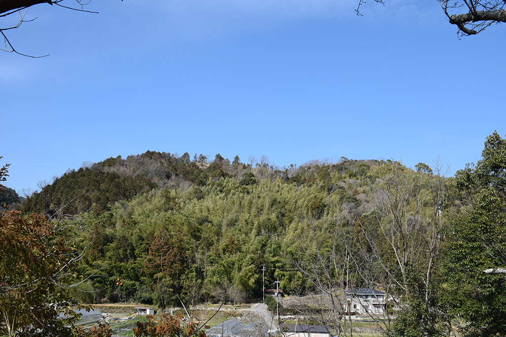 e0158128_17364537.jpg