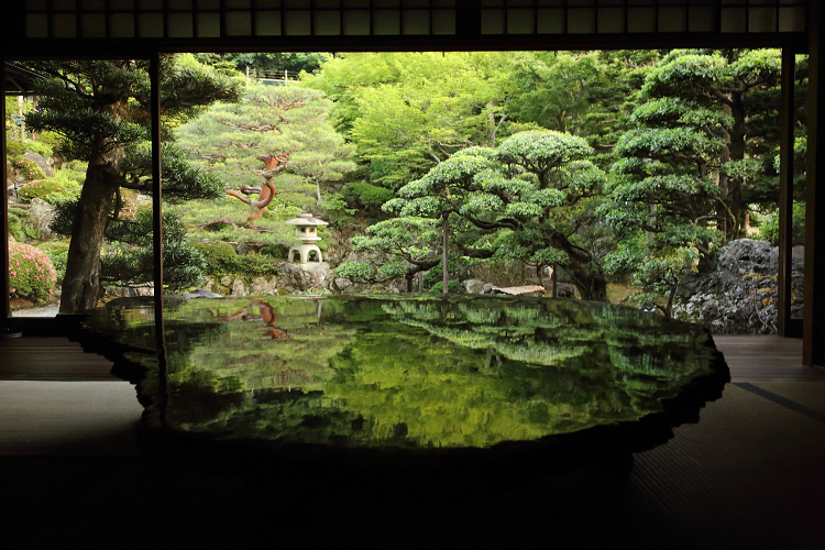 深緑の京都2019 －「深緑の薫」旧邸御室・ライトアップ（前編）－ _b0169330_1723721.jpg