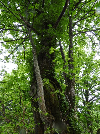 f0118332_23391897.jpg