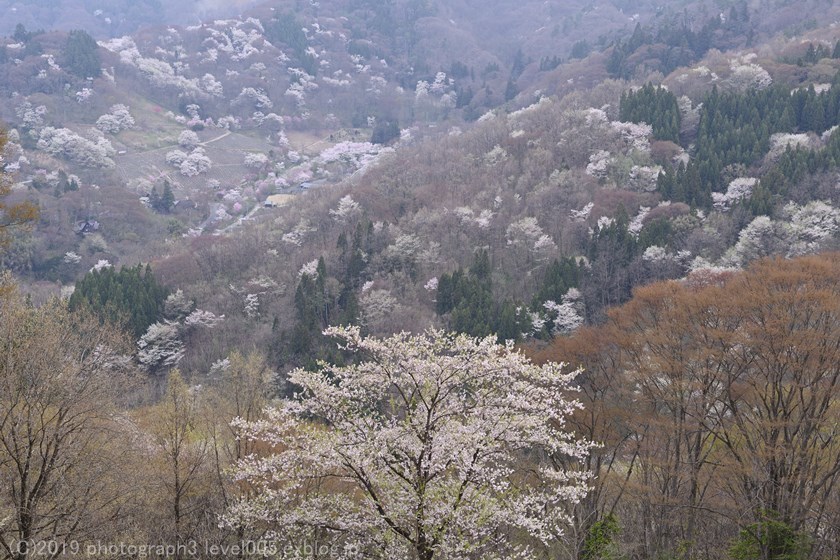 e0362037_11275000.jpg