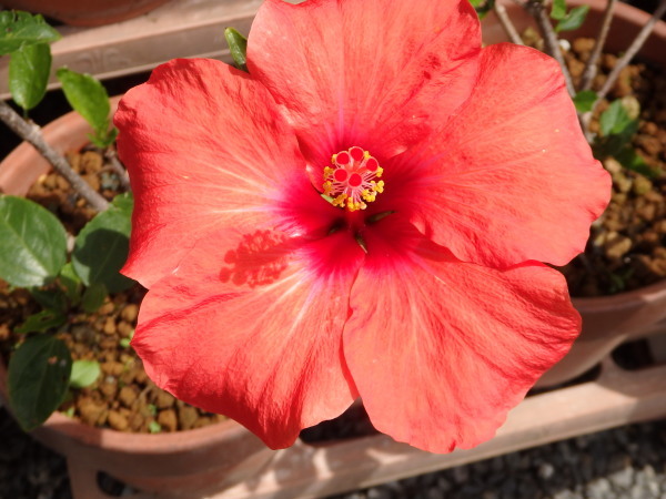 a0054240_22352381.jpg