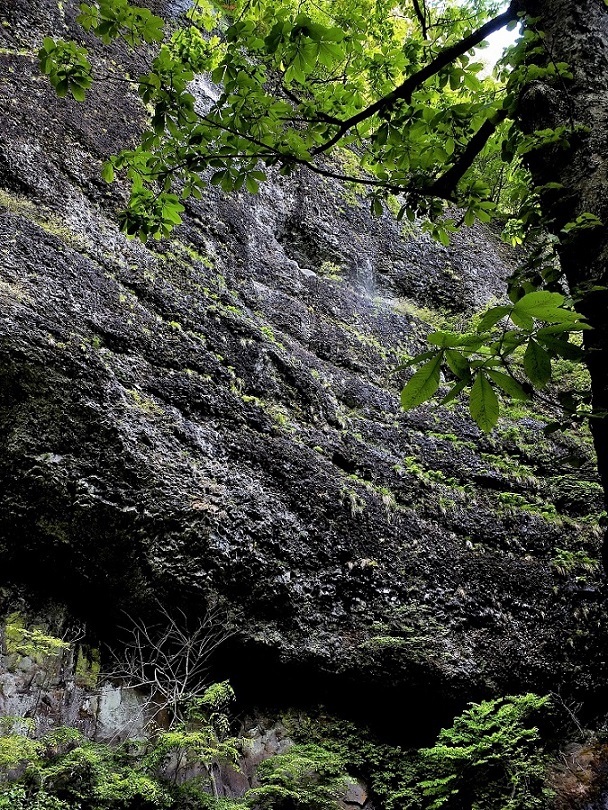 d0347140_08312874.jpg