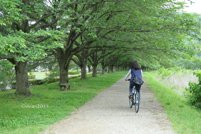 鹿沼 美しい里山を自転車で レンタサイクル Okurabike 日々の贈り物 私の宇都宮生活