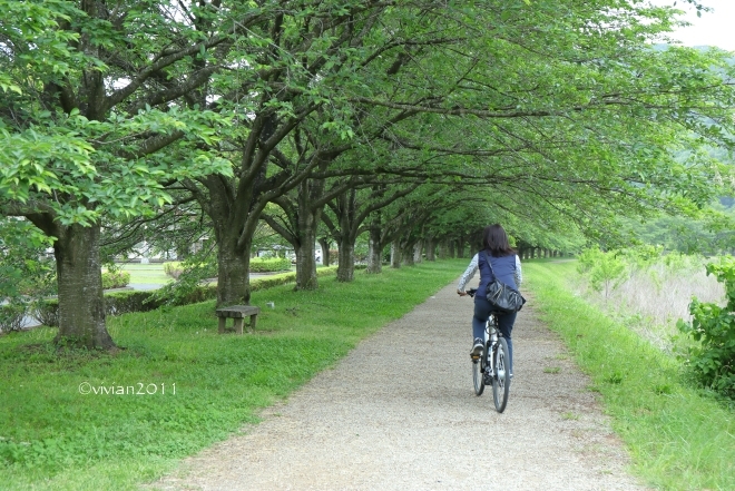 鹿沼　美しい里山を自転車で　～レンタサイクル okurabike～_e0227942_00450392.jpg