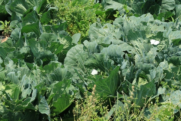 c0332548_16325744.jpg