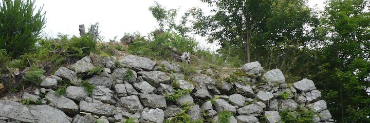 f0202151_16175688.jpg