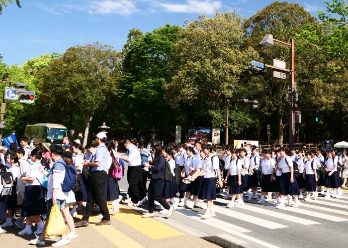 　　修学旅行　　２０２３-０６-２１　００：００_b0093754_21440283.jpg