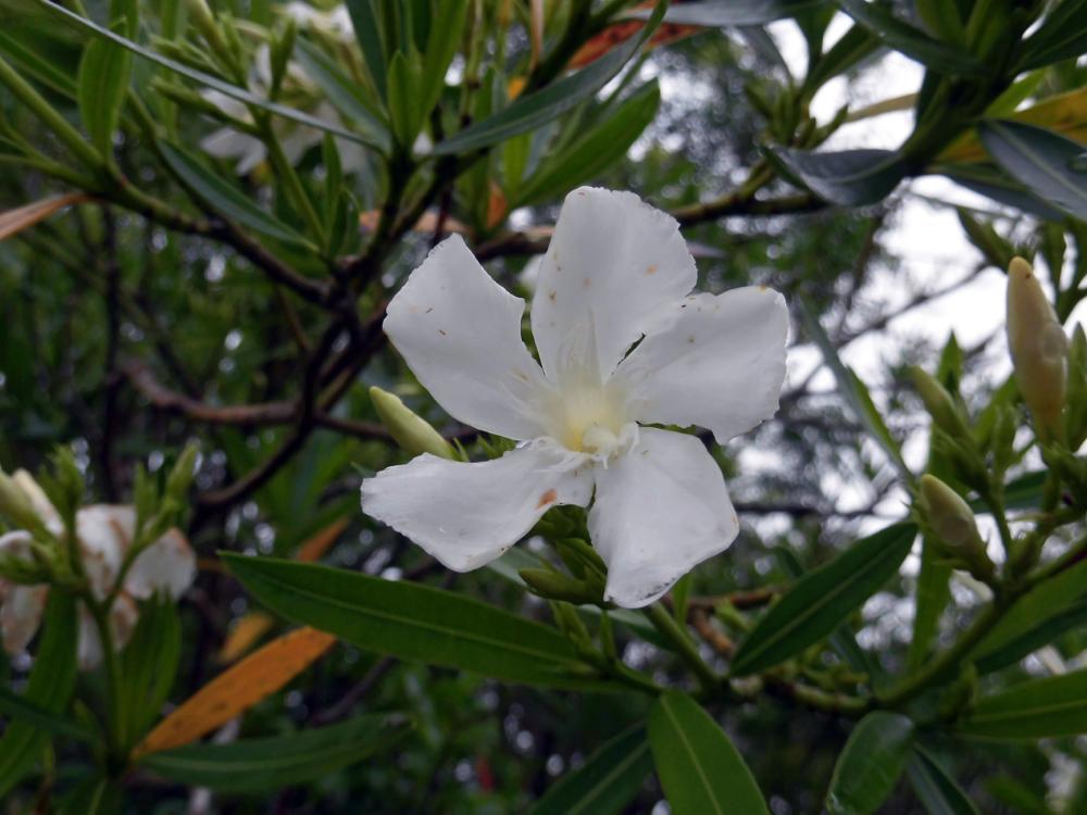 e0024554_20320812.jpg