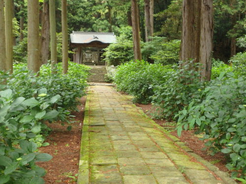 b0335256_14442135.jpg