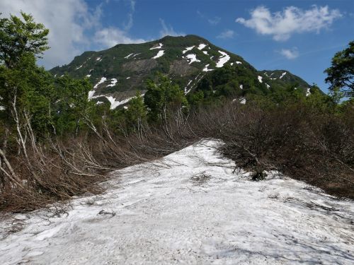b0277159_22020244.jpg