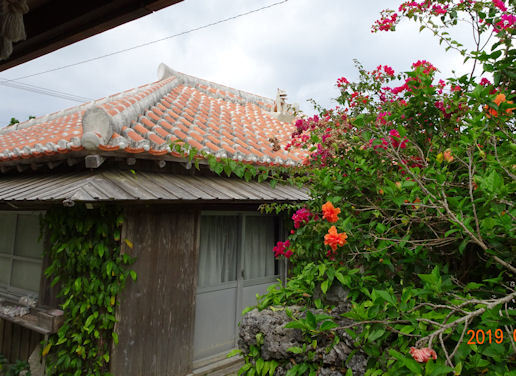 d0059661_14565830.jpg