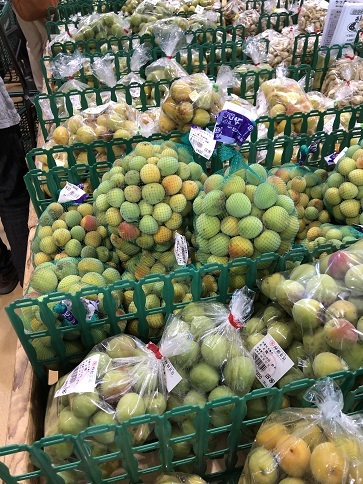 伊都国からのあるところへ!_b0060363_22560013.jpeg