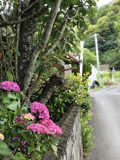 伊都国からのあるところへ!_b0060363_23040708.jpeg