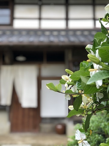 伊都国からのあるところへ!_b0060363_23100687.jpeg