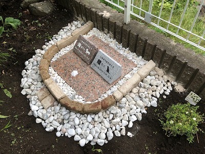 e0296464_20352975.jpg