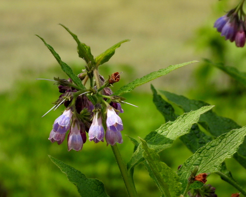 c0305565_17545903.jpg