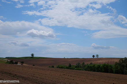 d0340565_19464995.jpg