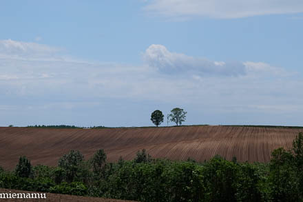 d0340565_19465691.jpg