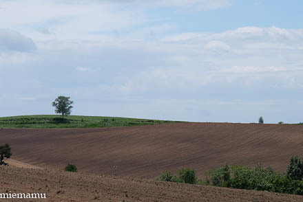 d0340565_19470156.jpg