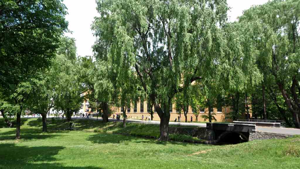c0183777_1817551.jpg