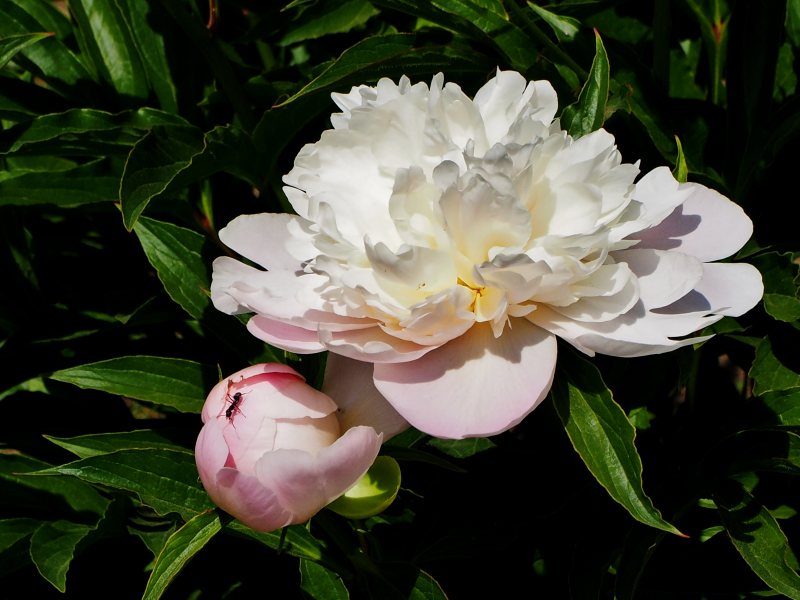 c0183777_20173415.jpg