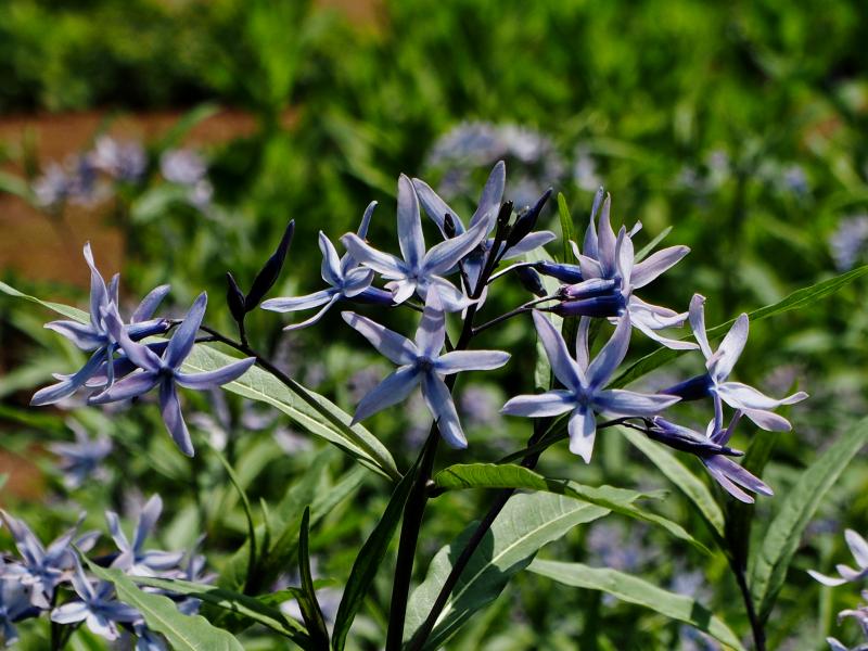 c0183777_20235666.jpg