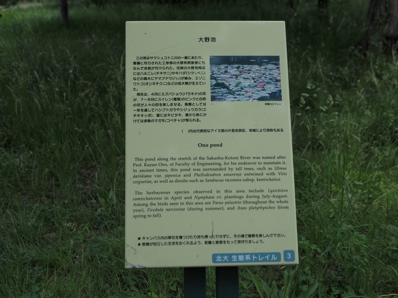 c0183777_2103956.jpg