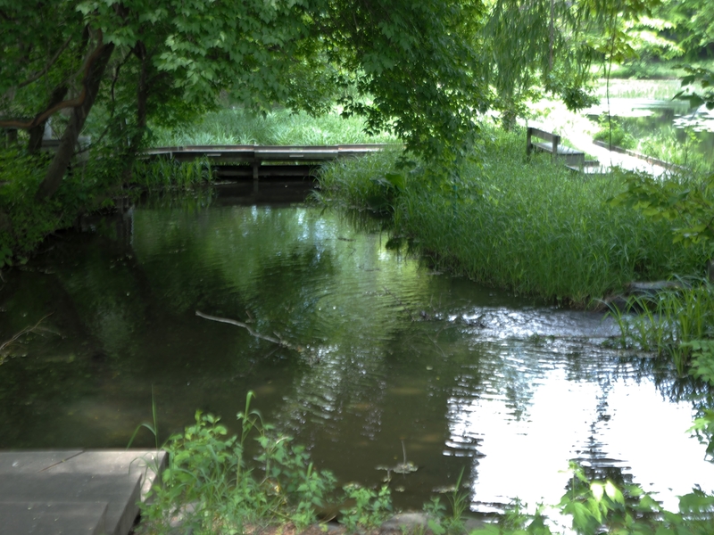 c0183777_2105588.jpg