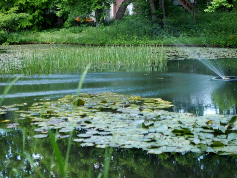 c0183777_2111580.jpg