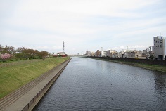 d0183387_11170088.jpg