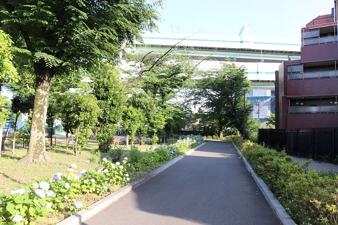 d0183387_20051091.jpg