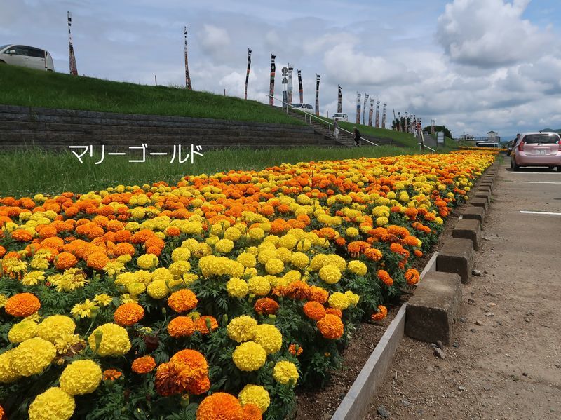 f0059498_20300349.jpg