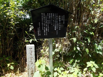 f0308898_19430901.jpg